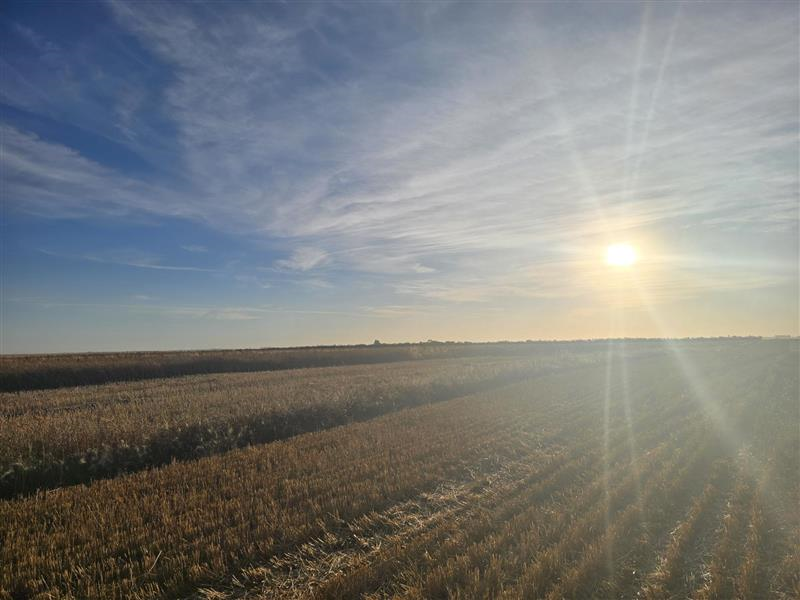 Saskatchewan Launches Comprehensive Review of Farm Land Ownership Rules