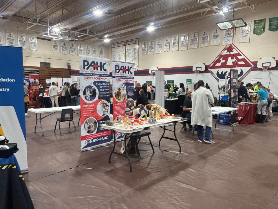 Estevan High School hosts interactive Career Fair for students and ...