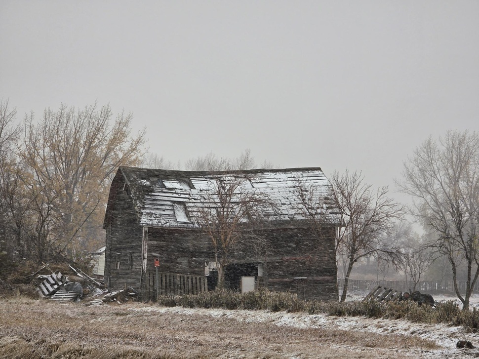 Cypress Hills won't be alone in Monday snow