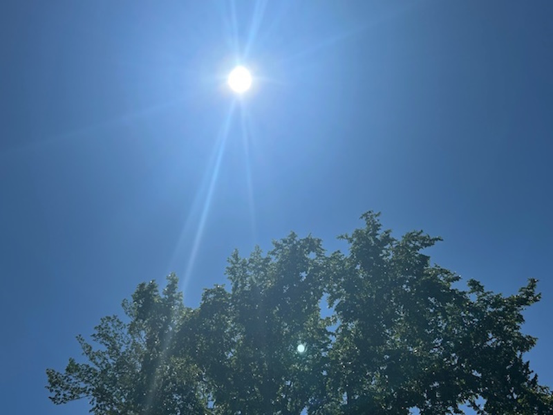 Canada forecasts 2026 will rank among hottest years ever recorded