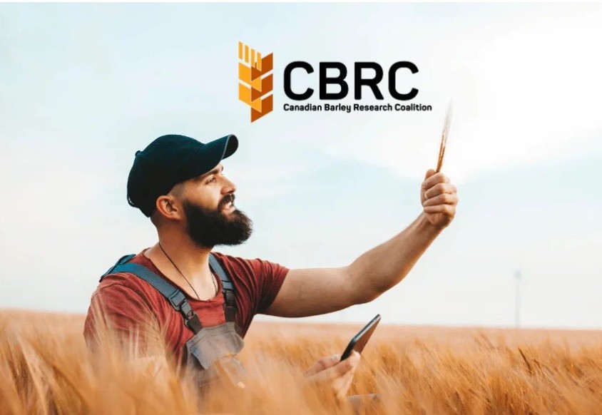 Canadian Barley Research Coalition invests $1.15 million in breeding agreement with Ag Canada