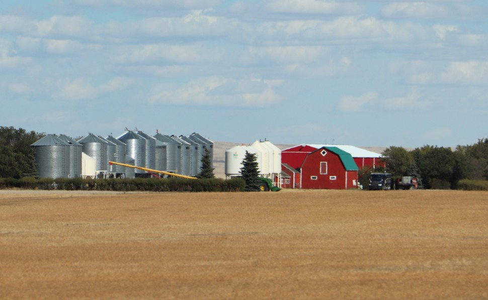 Grain Growers of Canada give federal budget a passing grade
