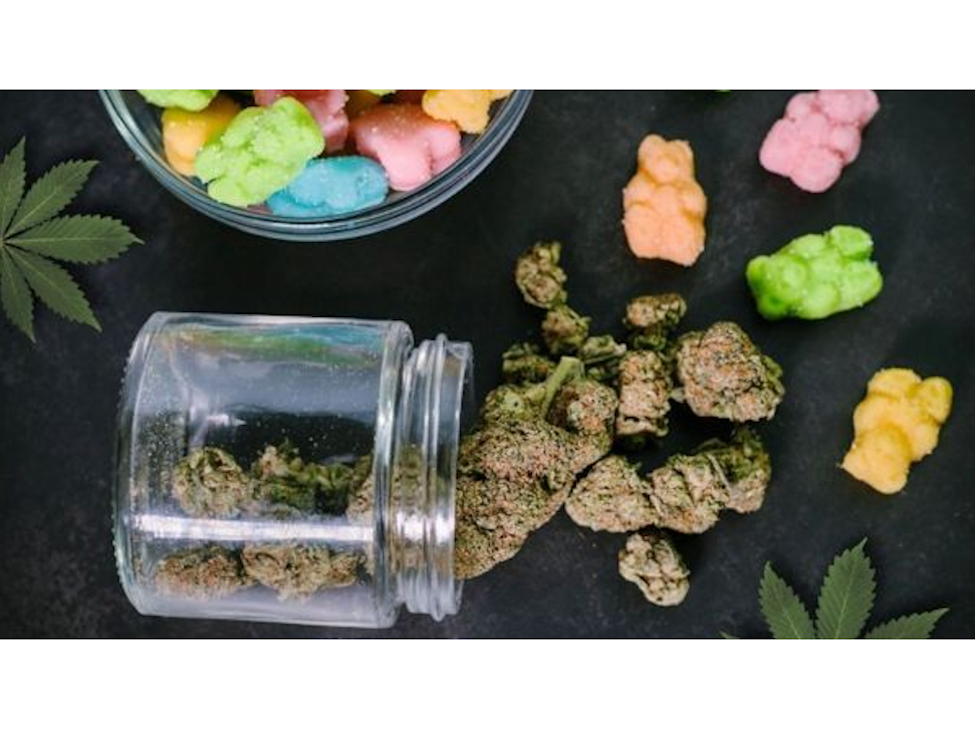 Driving High: Why more Manitobans are failing roadside tests long hours after cannabis consumption