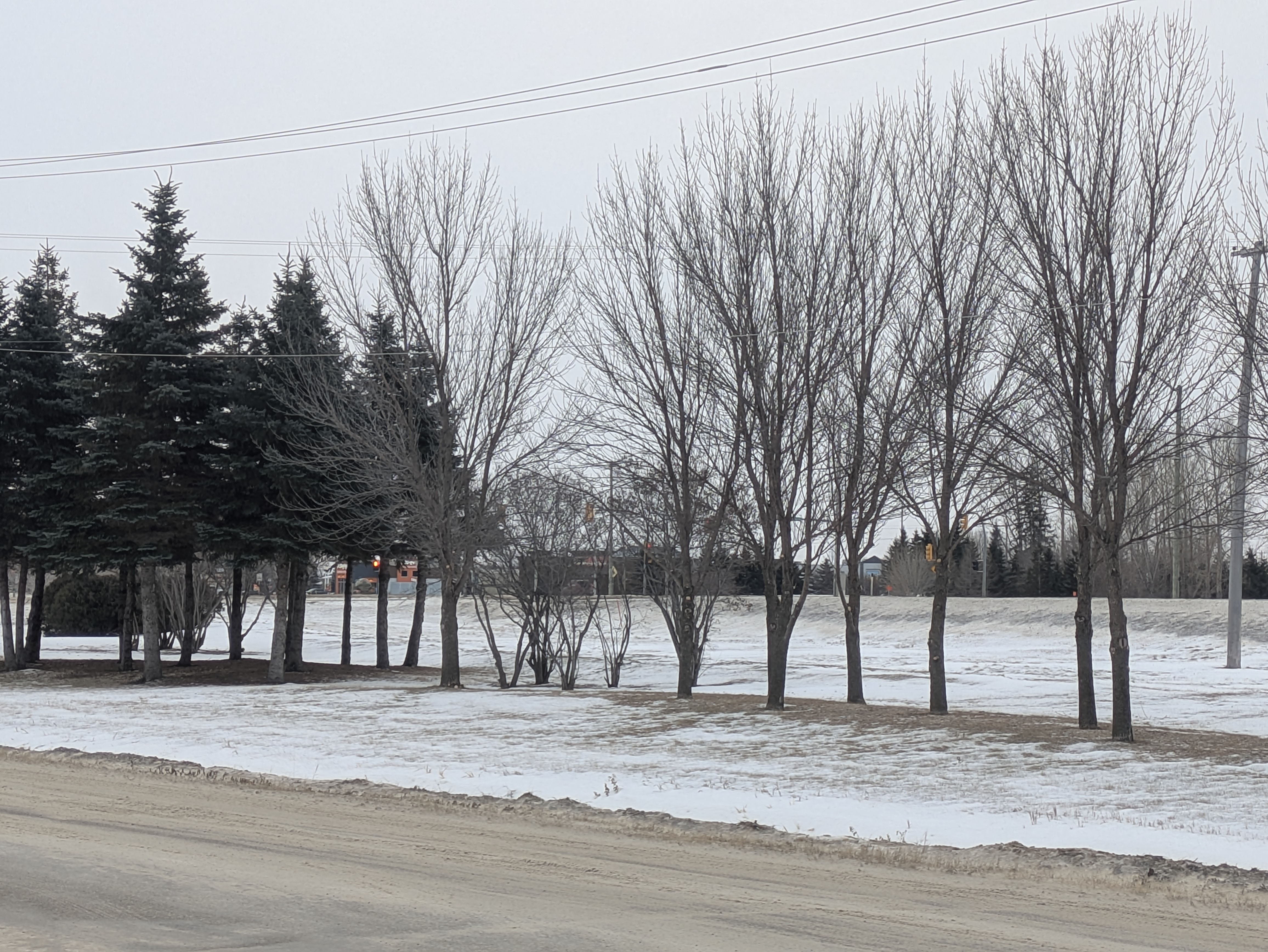 UPDATE Blizzard warning upgraded for Portage la Prairie region as