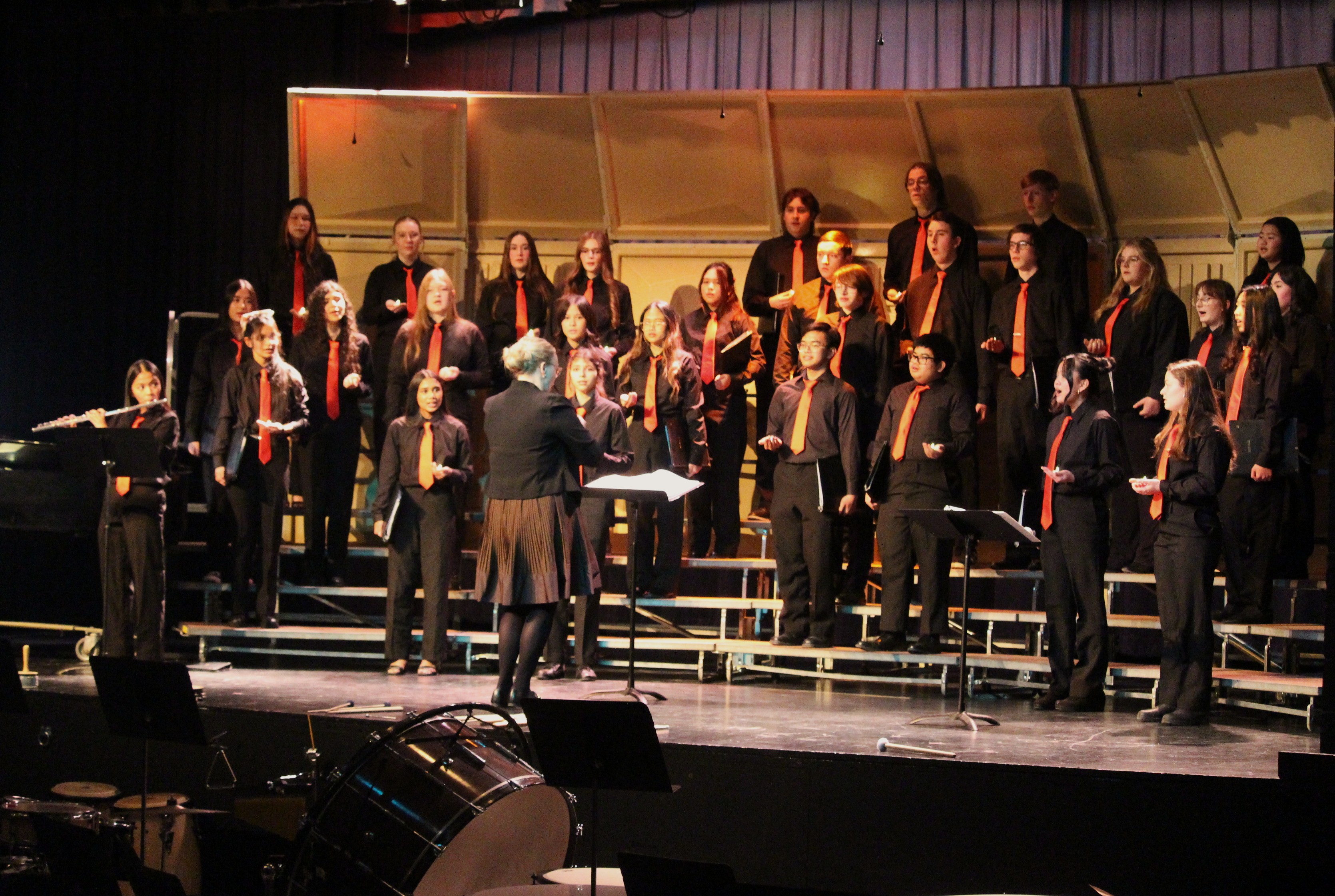 Photo Gallery: SCCHS Winter Concert thrills families ...
