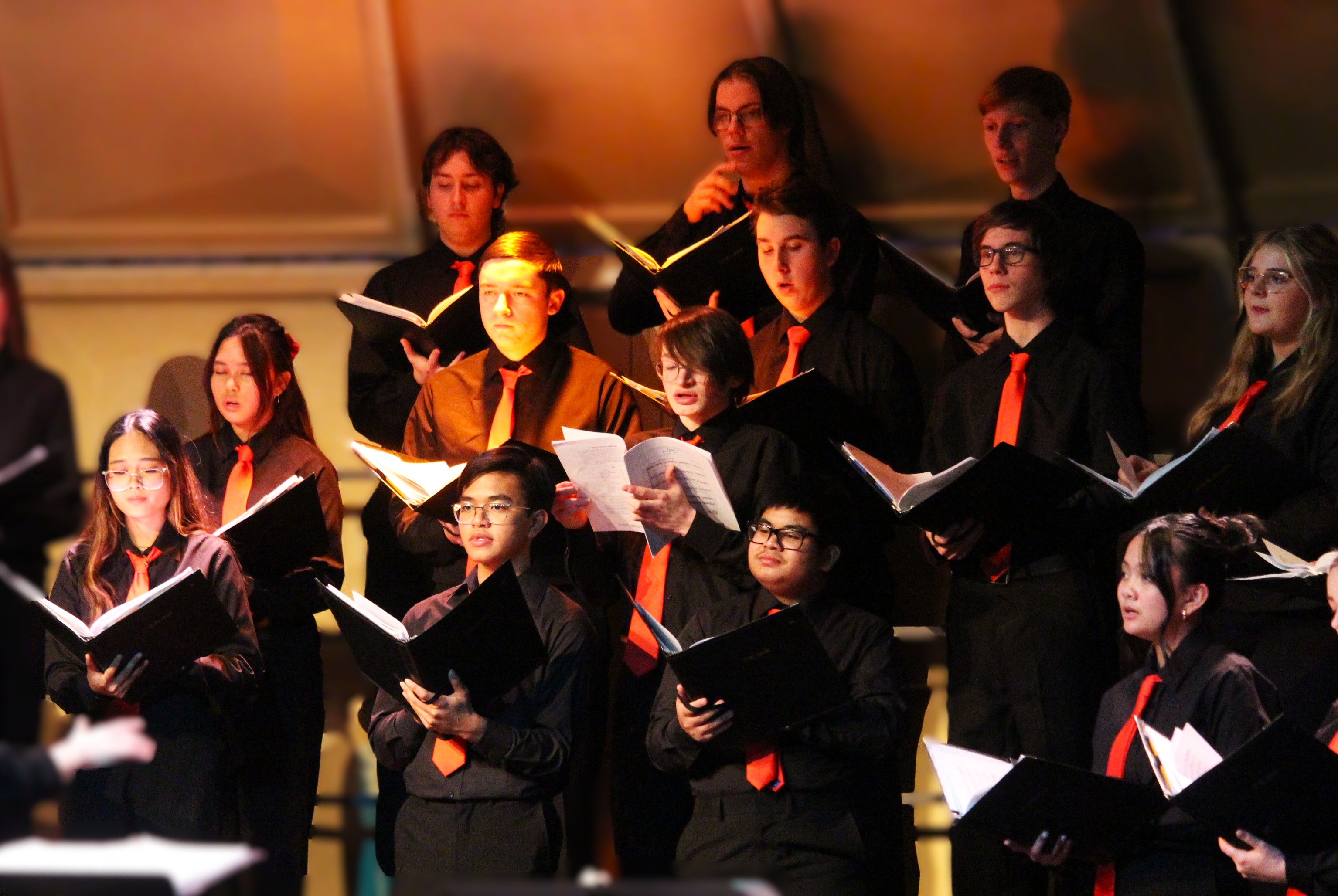 Photo Gallery: SCCHS Winter Concert thrills families ...