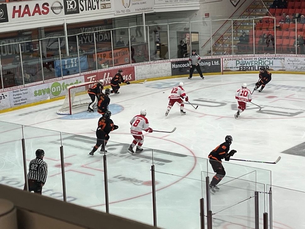 Terriers snap Red Wings' win streak - DiscoverWeyburn.com - Local news ...