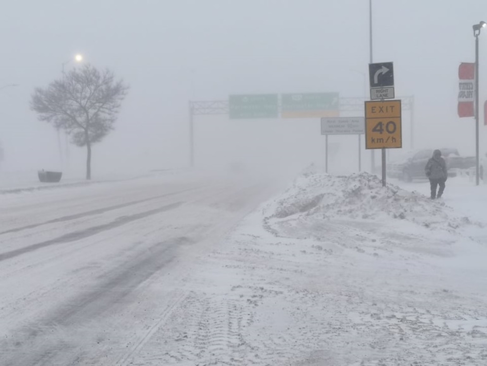 Blizzard warning issued for Portage la Prairie region as whiteout conditions expected Sunday