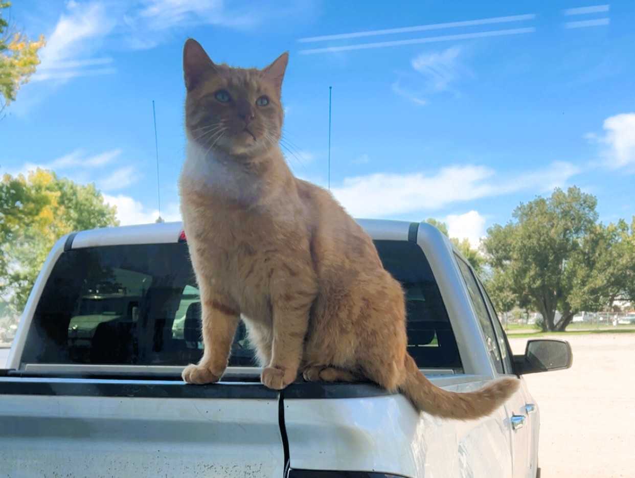 Mr. Sprinkles receives five year service award from MD of Willow Creek ...