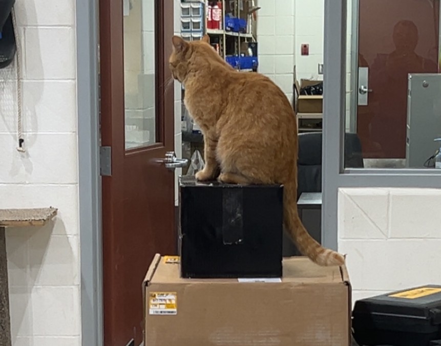 Mr. Sprinkles receives five year service award from MD of Willow Creek ...