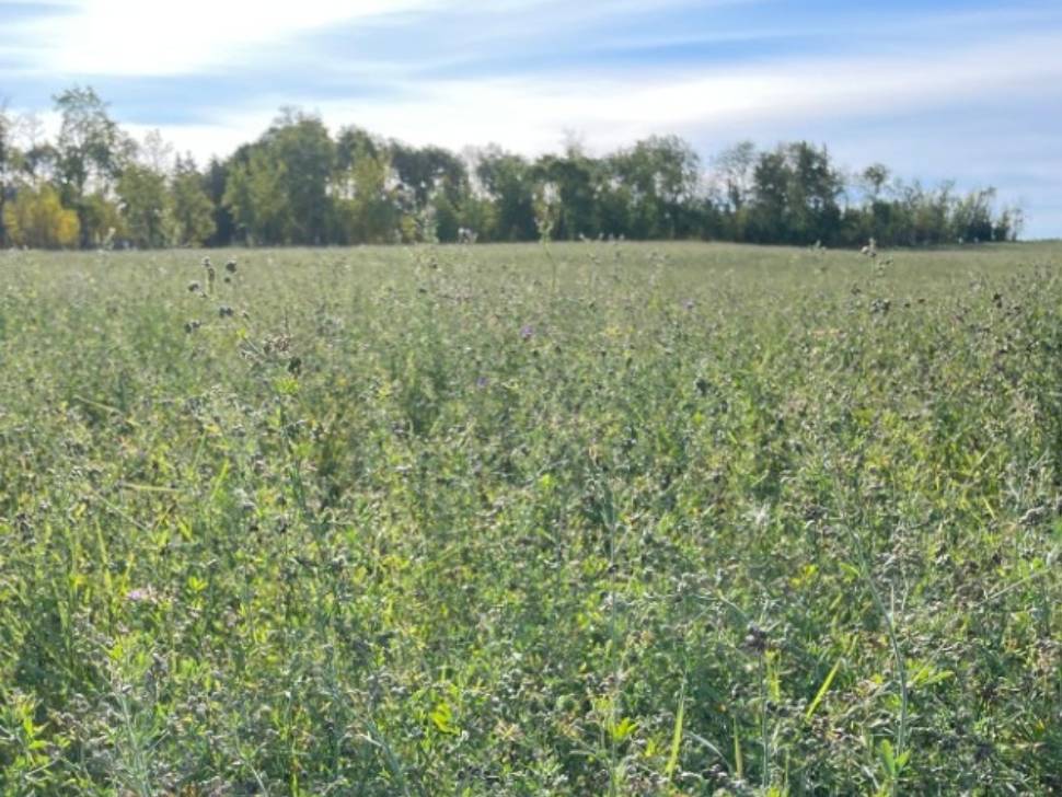 Regen Ag Day returns in February