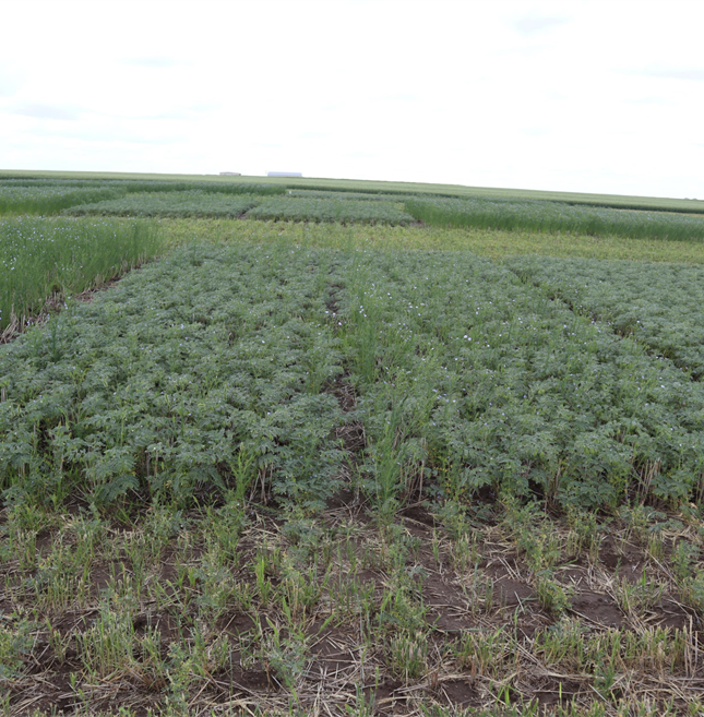 Farm groups say we need more investment, not less, in our public research facilities