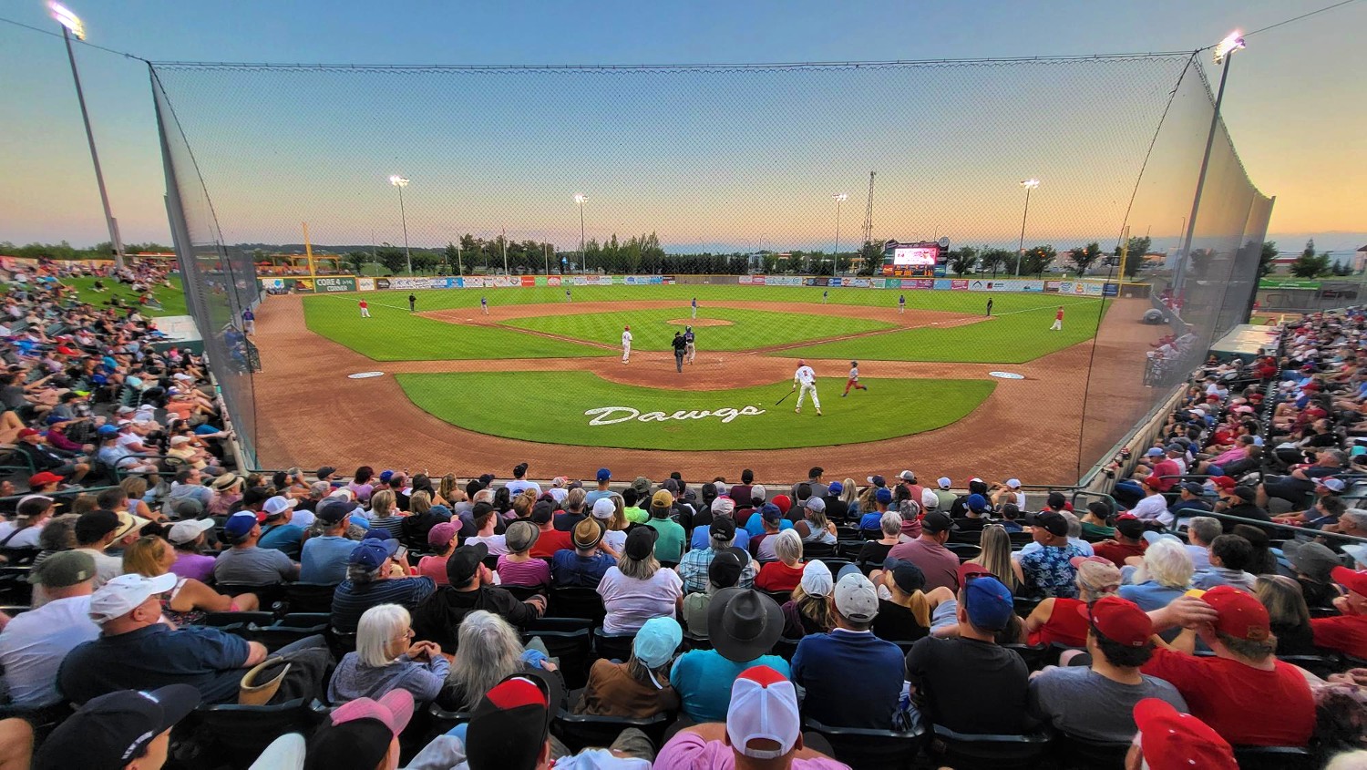 Six Okotoks Dawgs honoured on Canadian Baseball Most Influential List