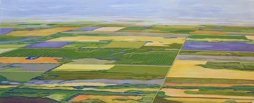 Conservation & art collide at upcoming local exhibition