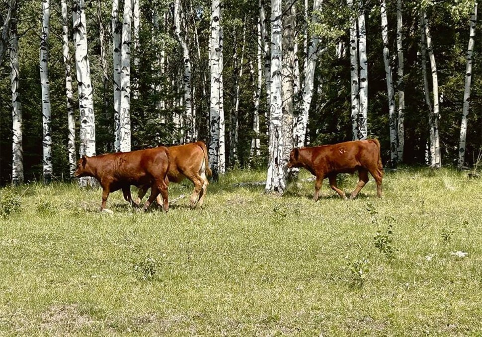 Monette Farms wins appeal in land deal fee case