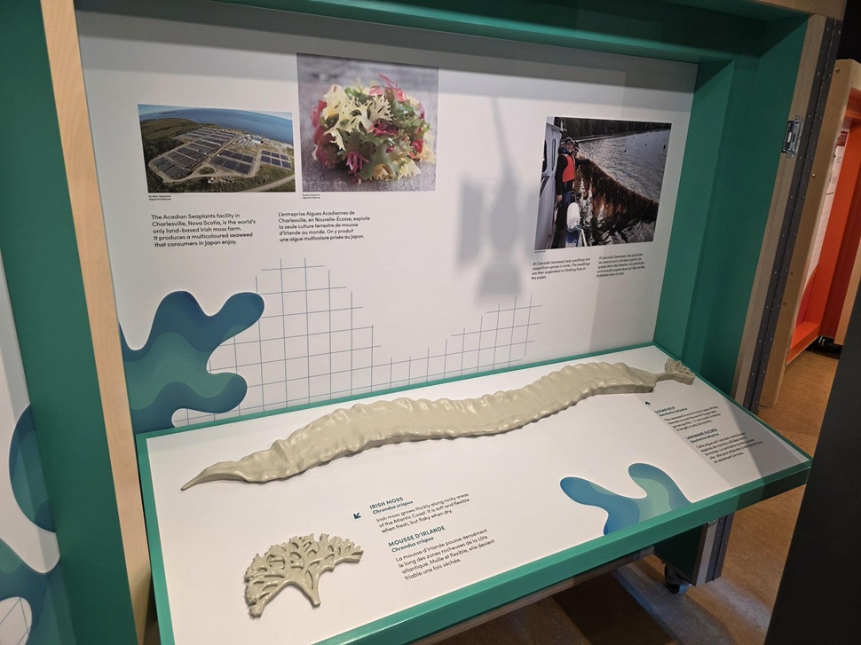 Somethings fishing at the Swift Current Museum