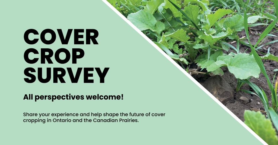 Farmers invited to take part in Prairie cover crop survey