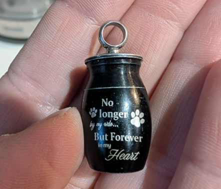 Incase You Missed it : Airdrie - DiscoverAirdrie . com - Local News , Weather , Sports , and Job Listings for Airdrie , Alberta , and the Rocky View County region . 