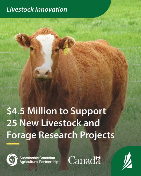 Saskatchewan announces $4.5M for livestock research and modernizes forage rainfall insurance for producers