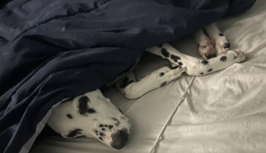 Cross Sask Check Up : Beating the January blues - WestCentralOnline : West Central Saskatchewan latest news , sports , weather , community events . 