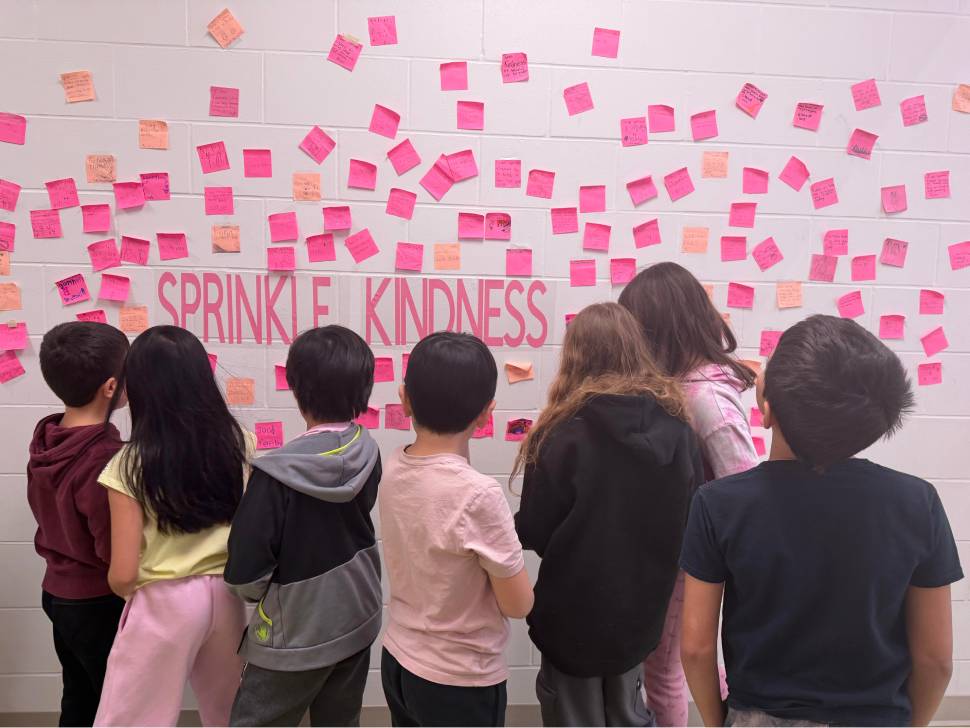 Hanover School Division highlights kindness and inclusion for Pink Shirt Day