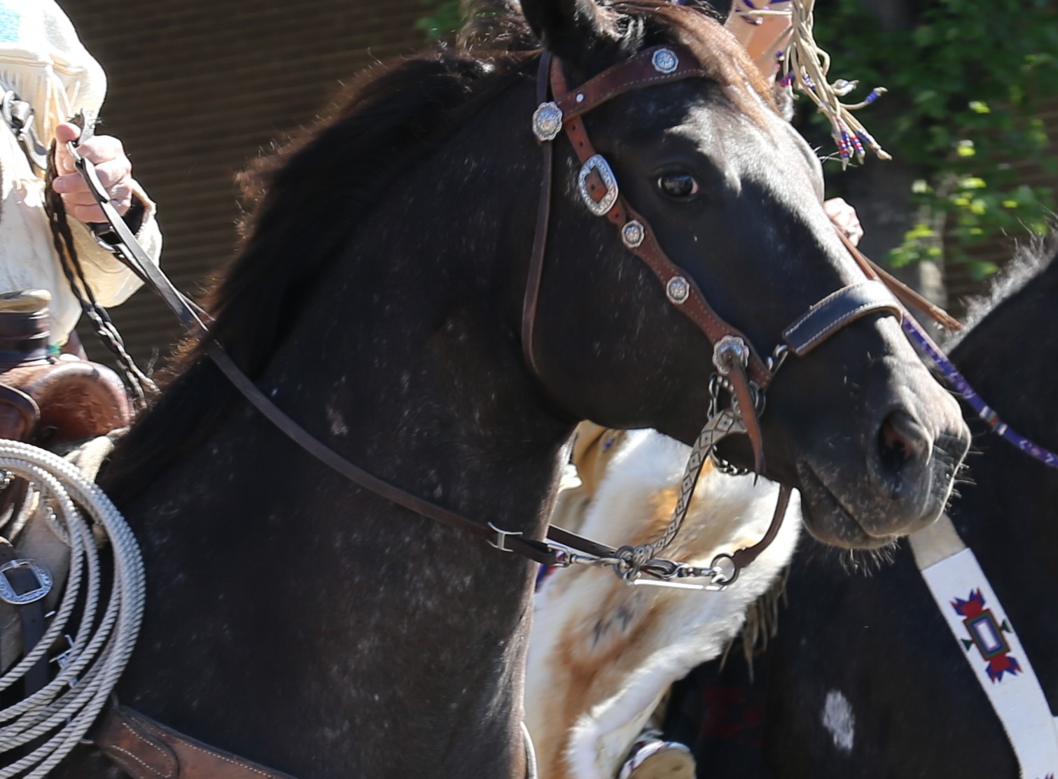 ‘Magnificent Seven’ rides into Calgary with Matt Dillon attached ...