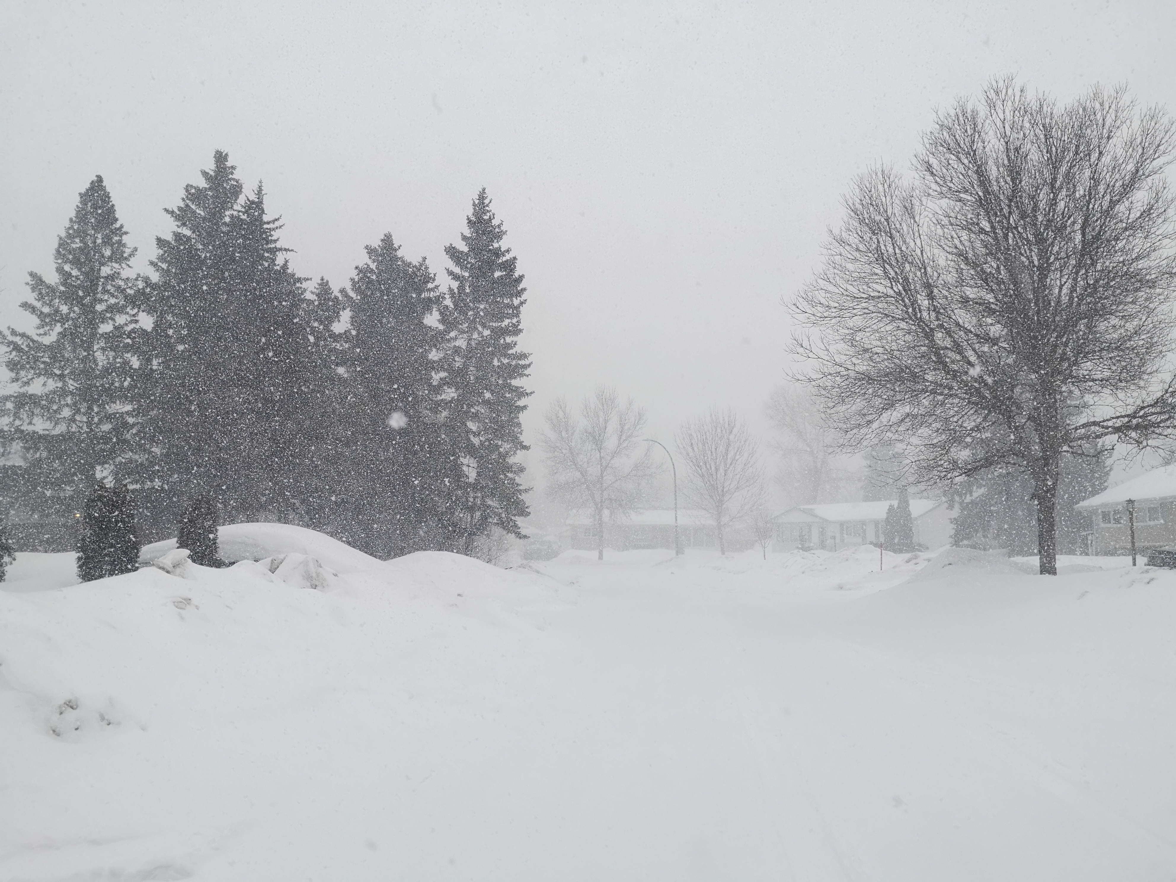 Snowfall warning issued for R.M. of Portage la Prairie as major winter ...