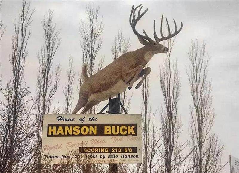 Biggar-area farmer Milo Hanson, famed for record buck, dead at 81