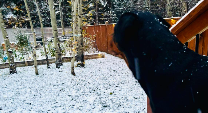 Snow , rain part of wet spring forecast for Airdrie - DiscoverAirdrie . com - Local News , Weather , Sports , and Job Listings for Airdrie , Alberta , and the Rocky View County region . 