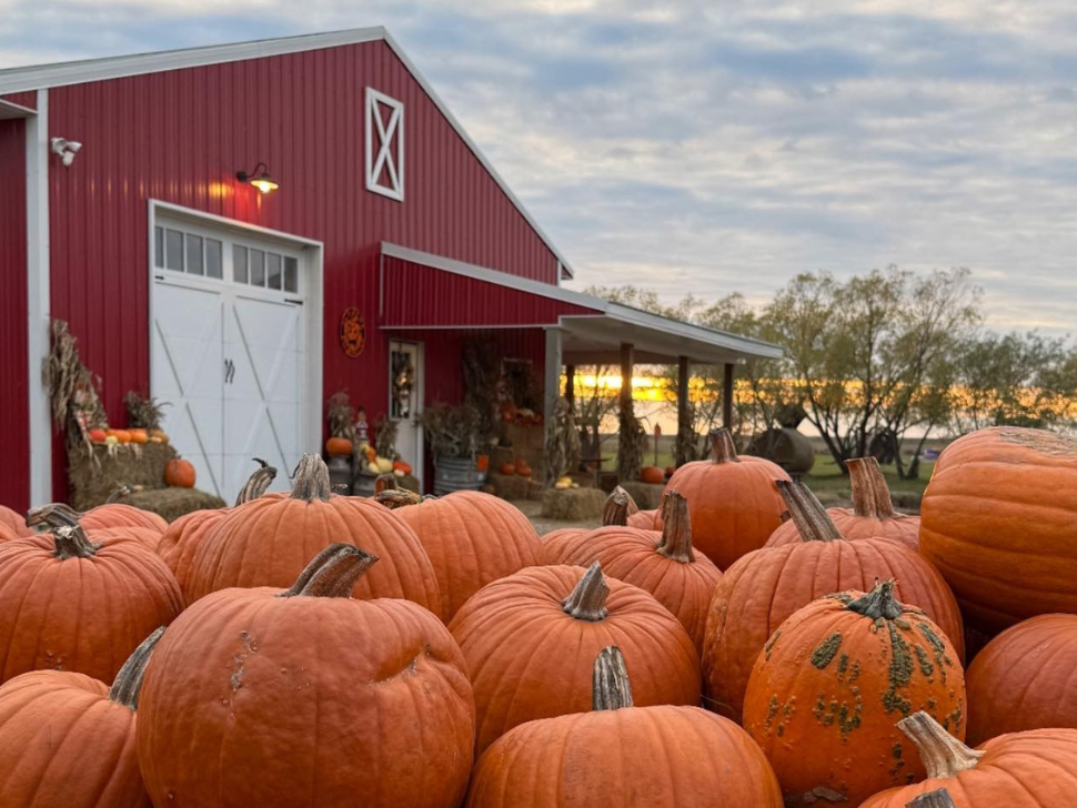 After announcing closure, Schwabe Pumpkins to reopen this fall ...