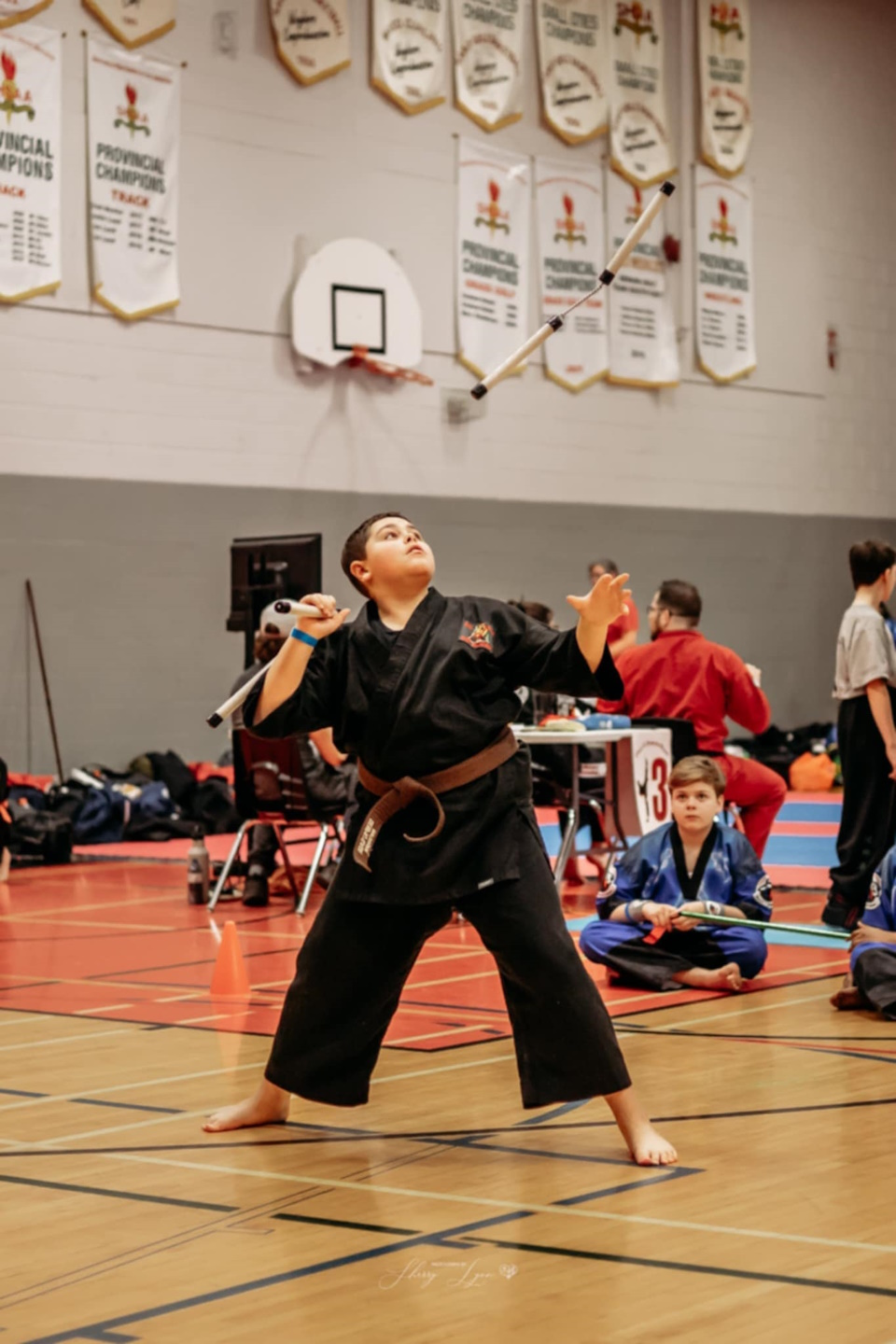 Vilcu's Karate Club needs volunteers for international tournament