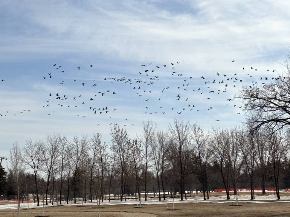 Saving energy starts at home during Earth Hour