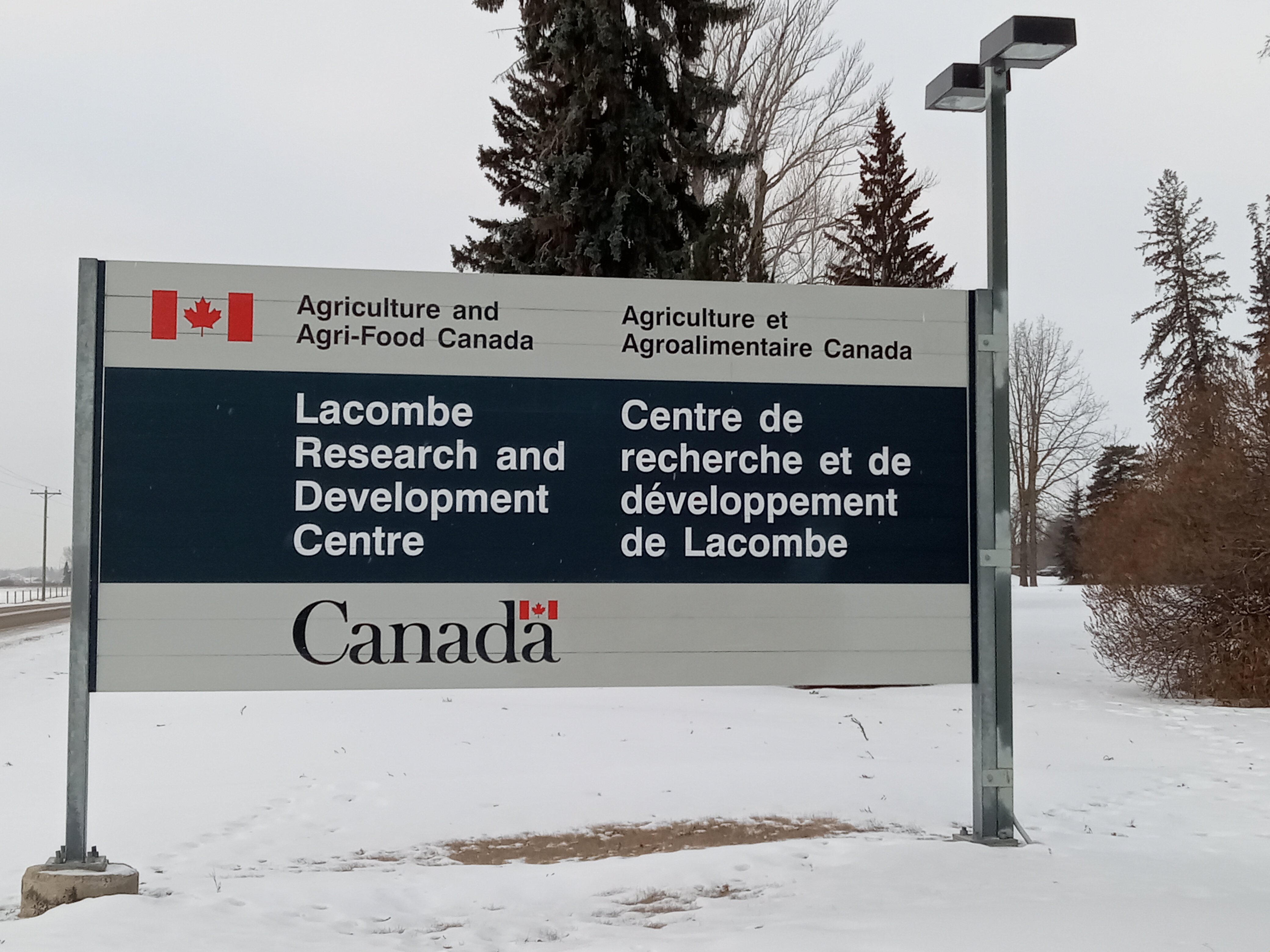 Federal review underway as Lacombe leaders fight to save research centre