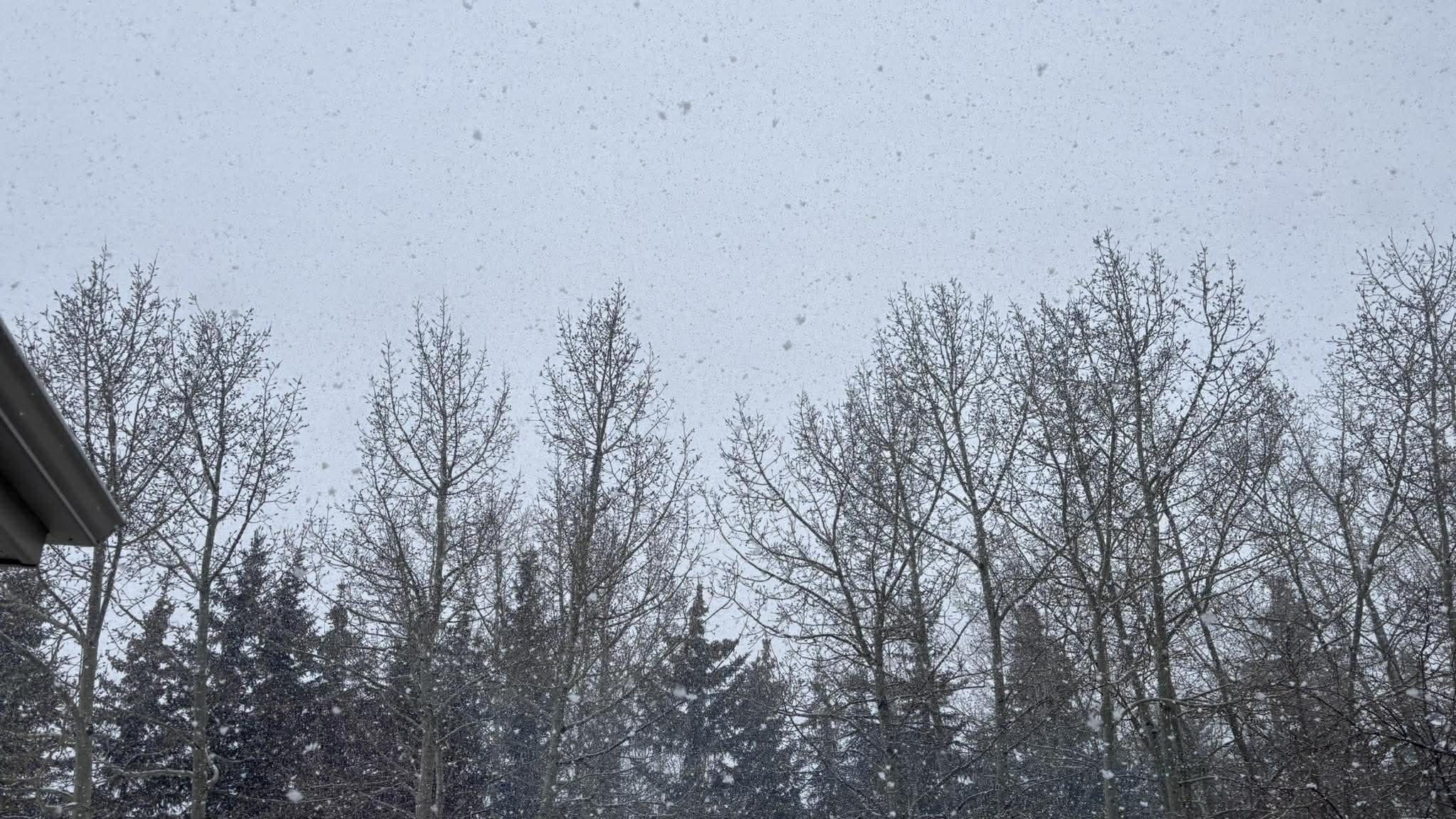 March snowfall in region doubles average as more snow possible ...