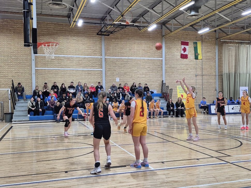 New federal investment targets abuse prevention, transparency in sport