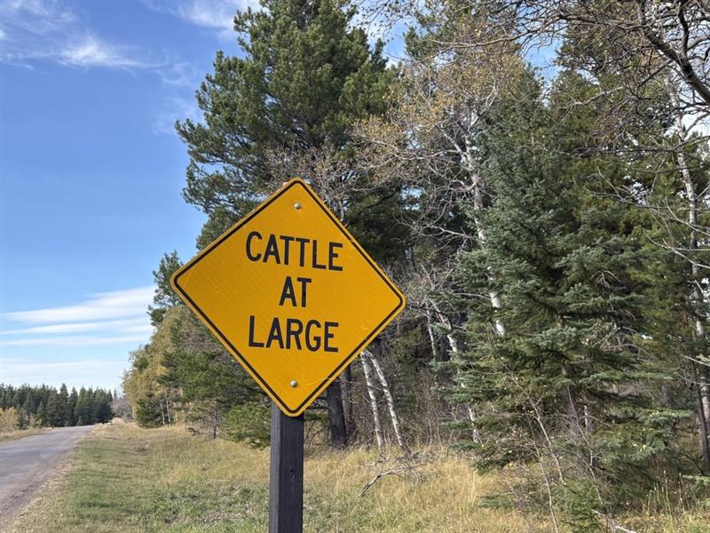 New water pipeline supports grazing in Cypress Hills