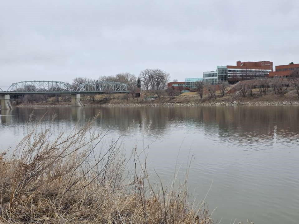 Assault suspect jumps into river, Medicine Hat officer rescues and ...