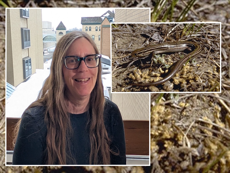 Brandon University Researcher re-appointed to National Wildlife Assessment leadership role