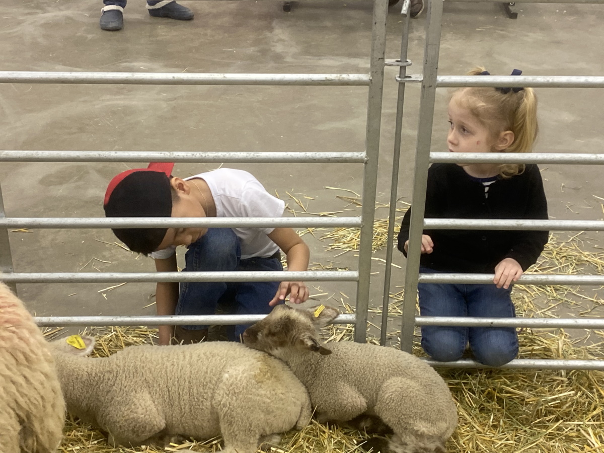 Spring Break Starts at the Fair: Royal Manitoba Winter Fair returns to ...