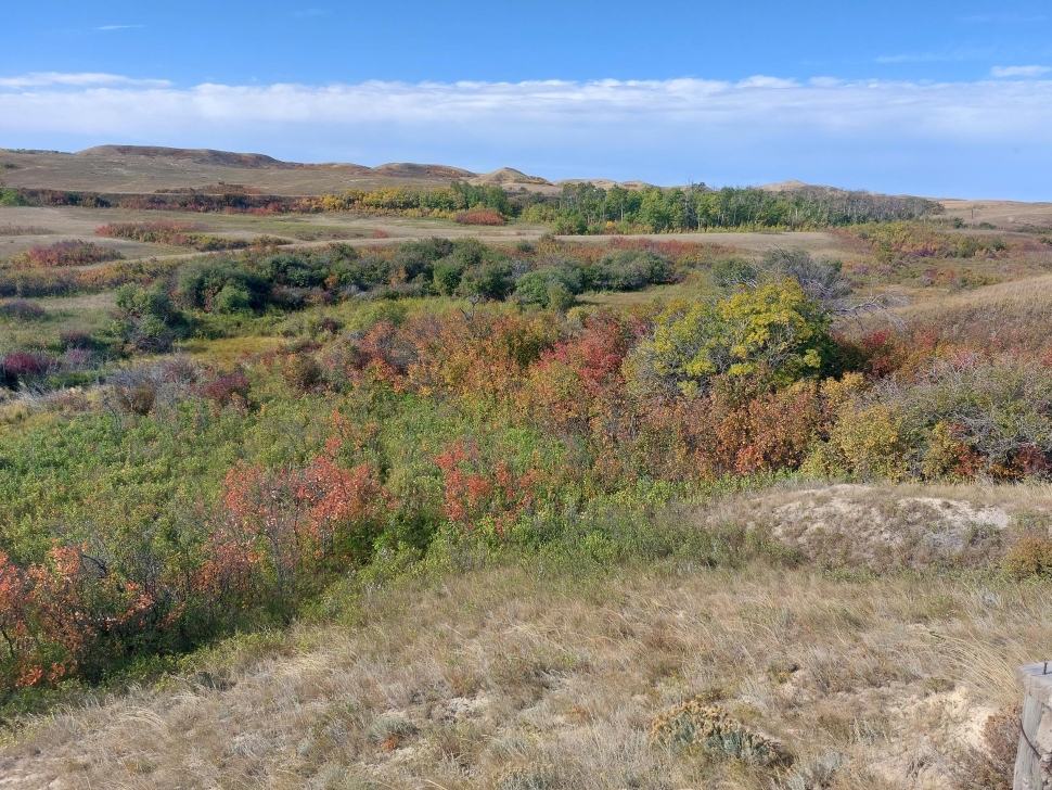 Nature Conservancy of Canada secures 426 hectares of vital grassland ...