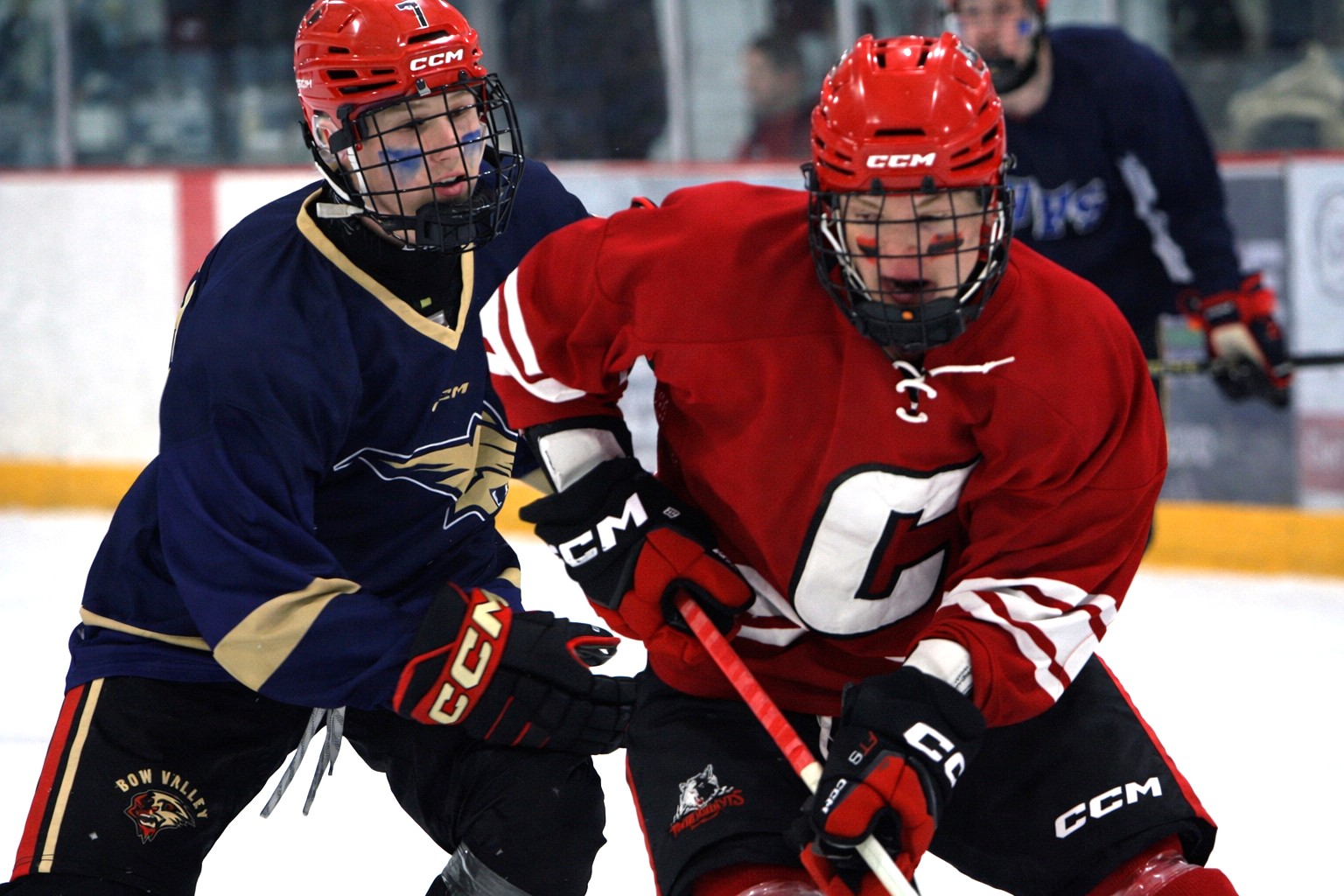 Students score big win for food bank