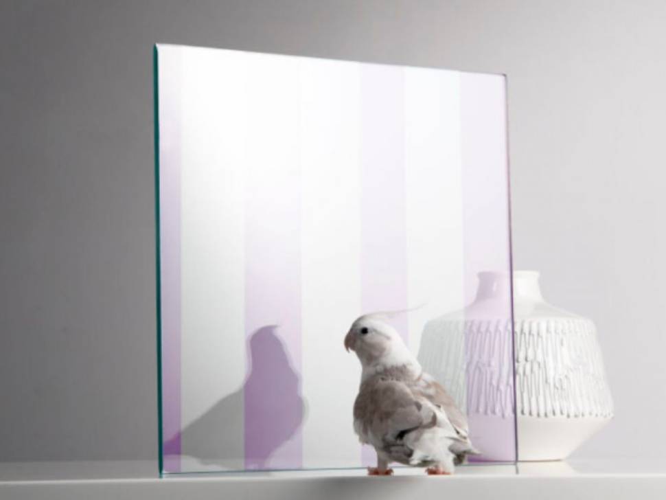 Bird Protective Windows Bird-safe glass gaining attention as homeowners look to protect ...