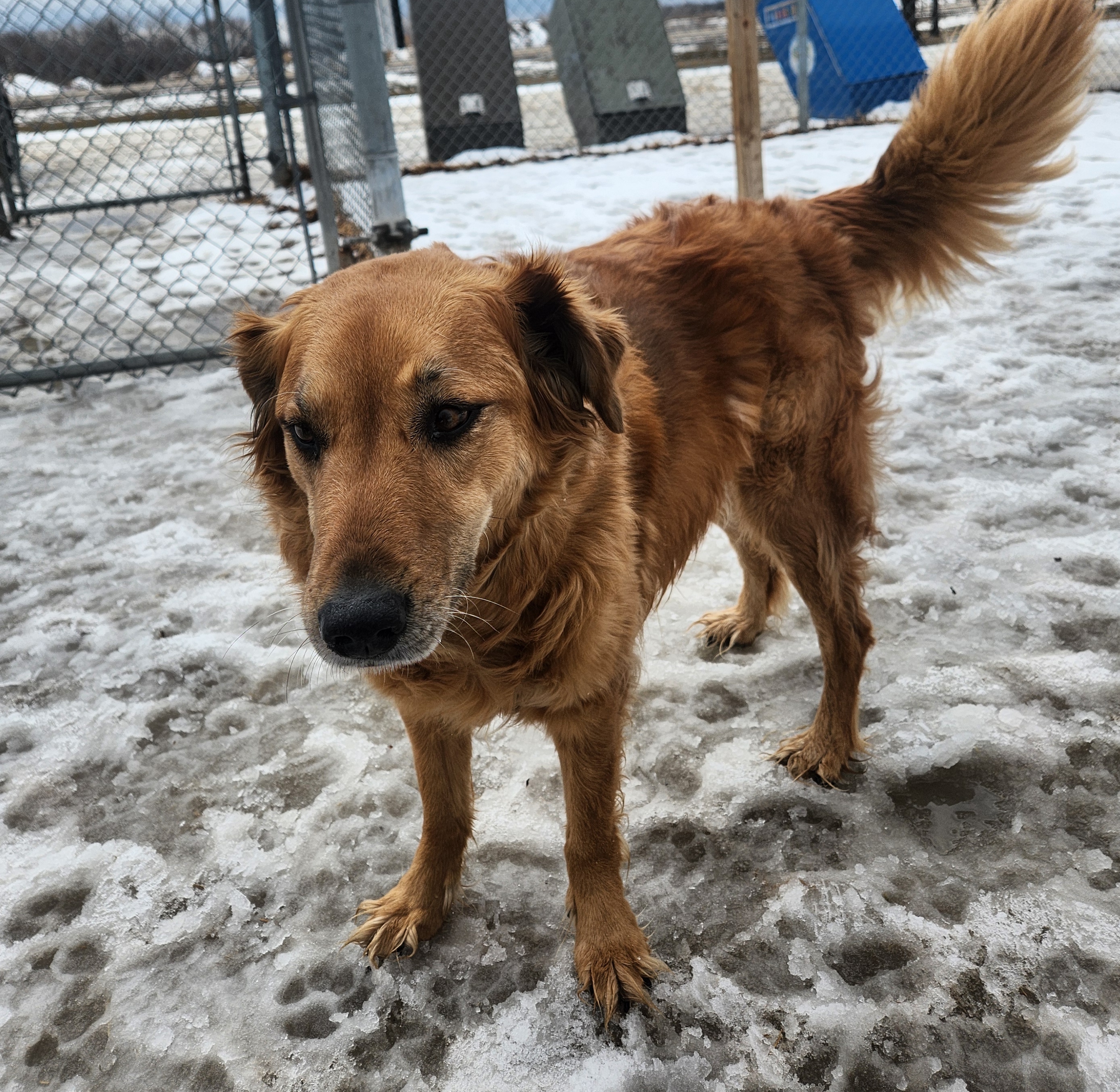 National Pet Day highlights local love for animals - PortageOnline.com ...