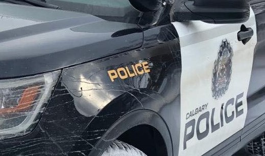 Update: Calgary police: Two children found deceased in vehicle ...