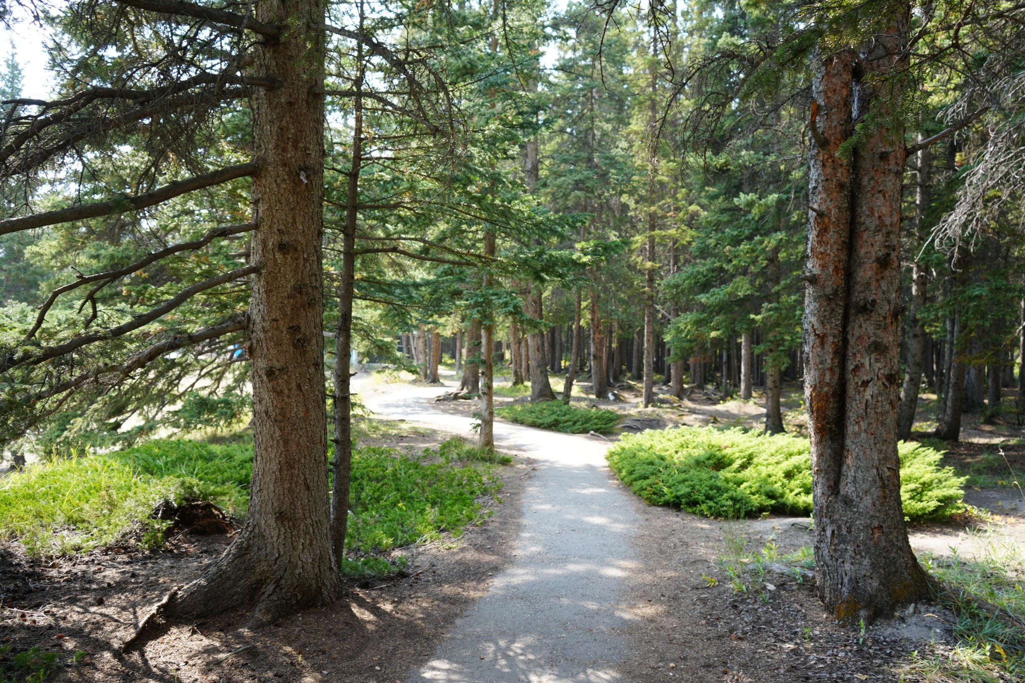 Banff trail among world’s quietest spots