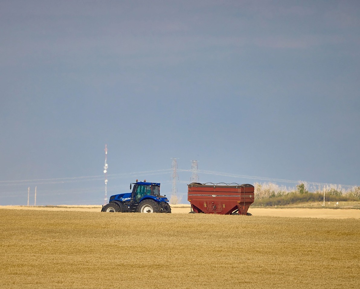 Rocky View report highlights gaps in mental health support for farmers