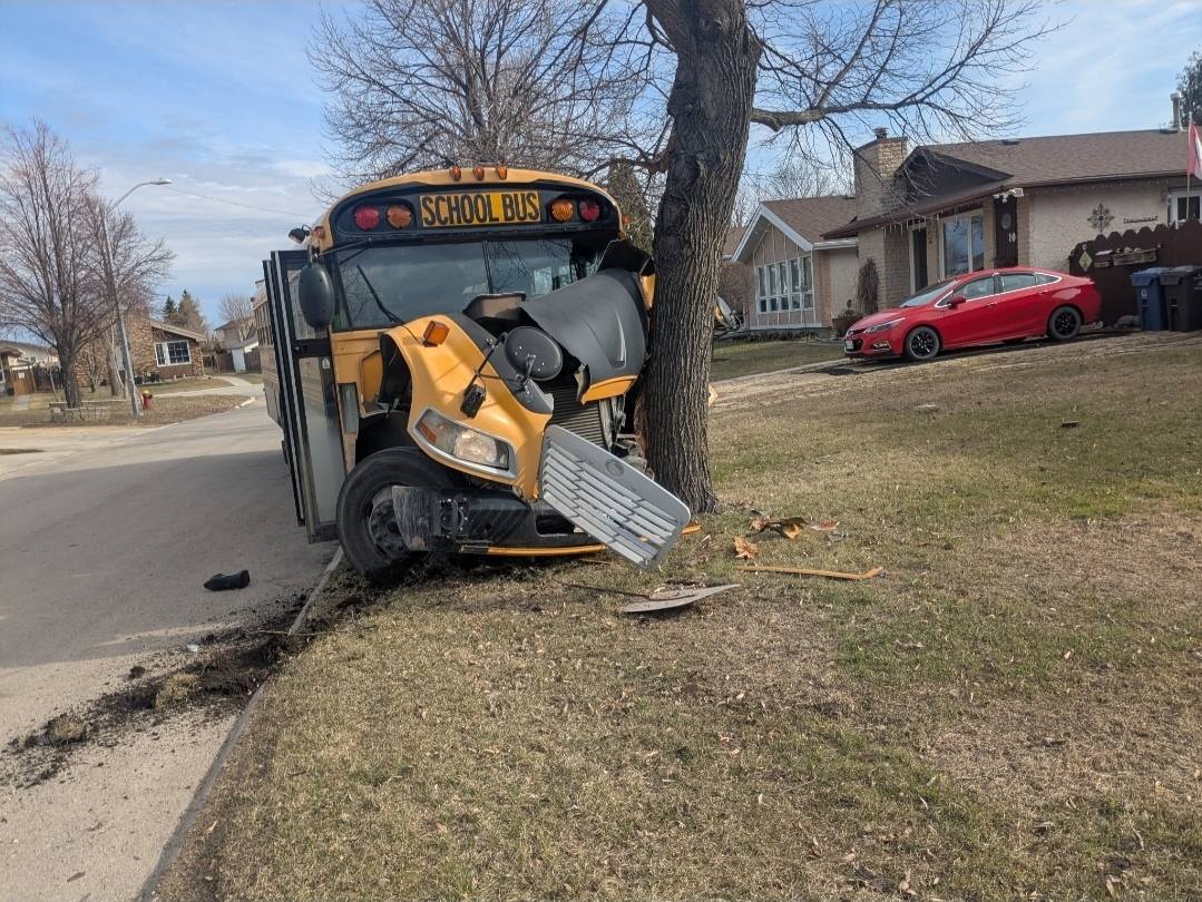No serious injuries after school bus intentionally driven into tree as ...