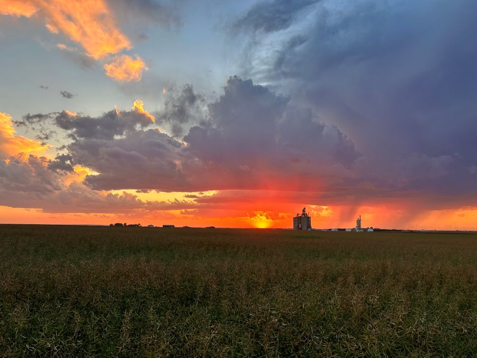 Province to hold another review on foreign ownership of farmland