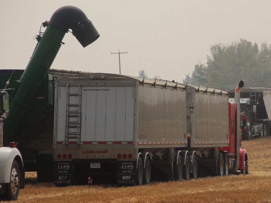 Farmers return to fields, drivers reminded to share the road