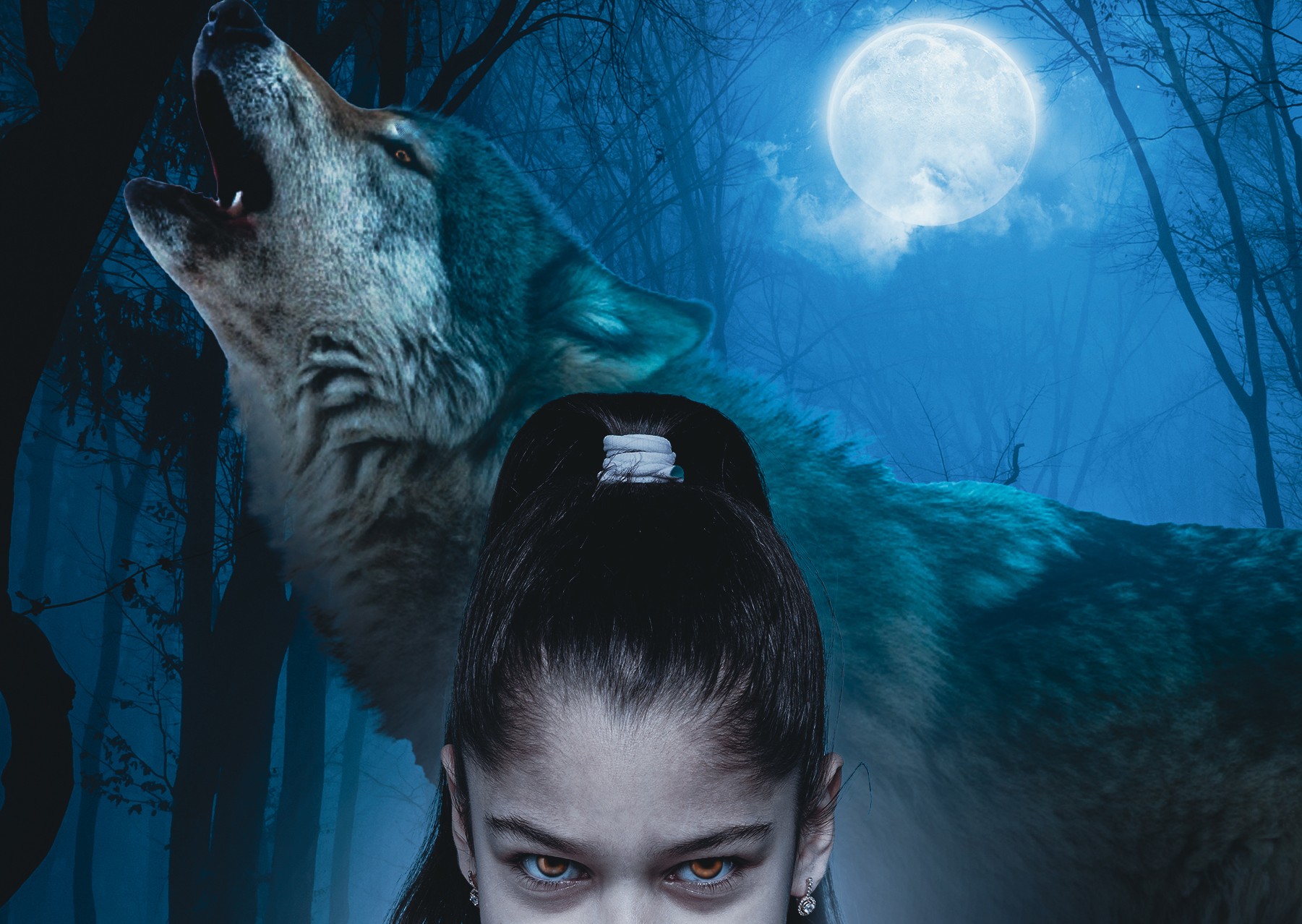 Local author launches contest for new book